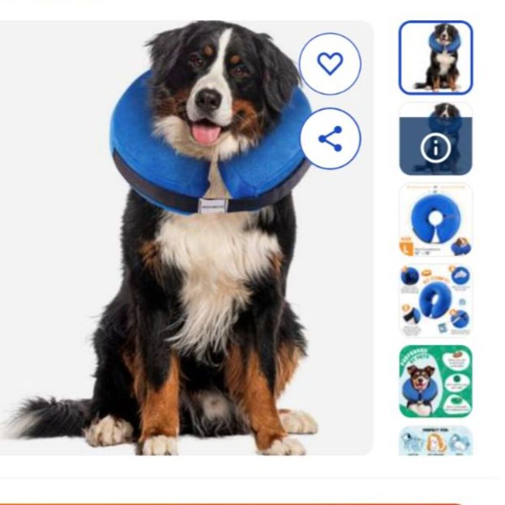 Bencmate Inflatable Dog Collars - Size M+(Medium Plus) New